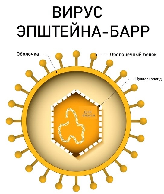Создать карусельДобавьте описание