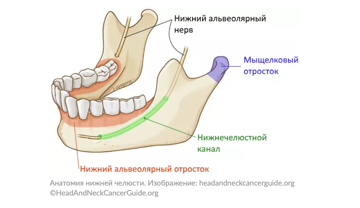 Из открытых источников сети интернет