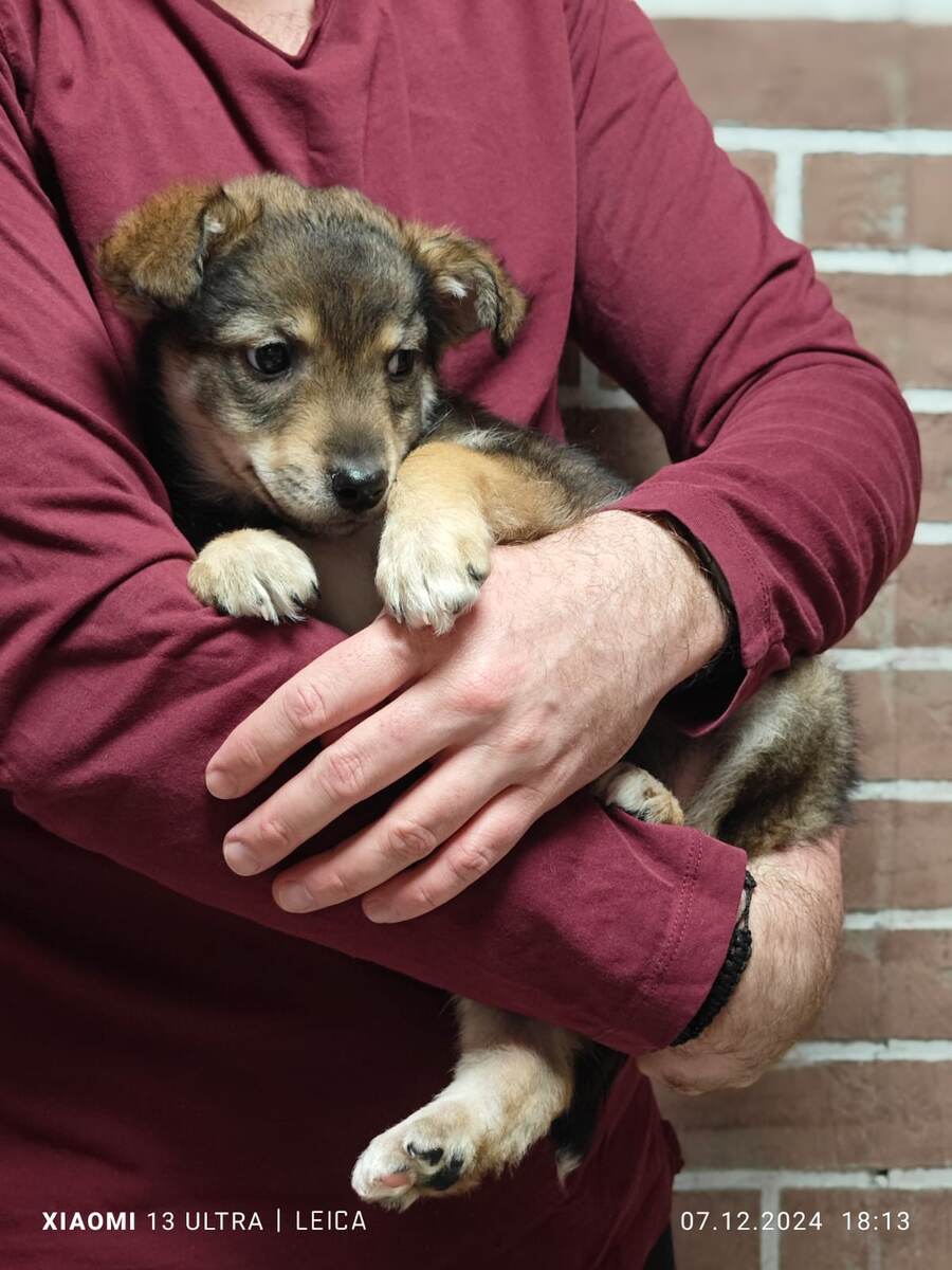 Антошка❤️