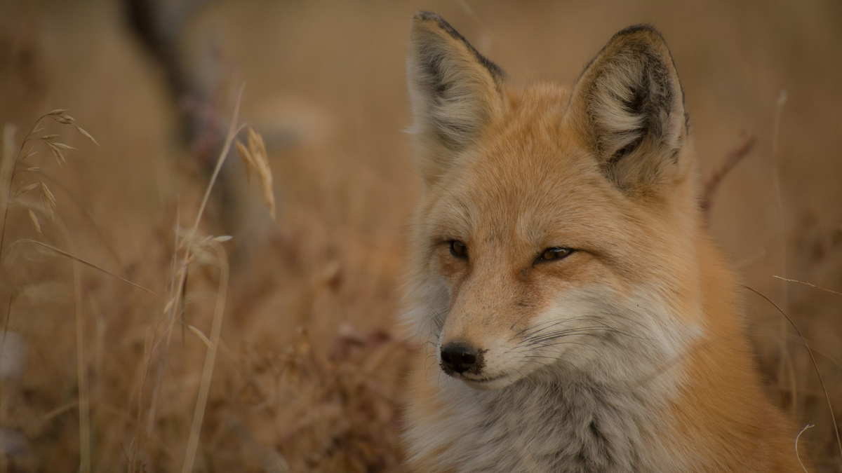 Фото: unsplash.com