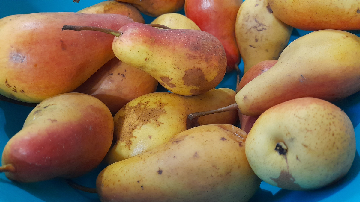 Фото автора Шедевры кулинарии с Марией