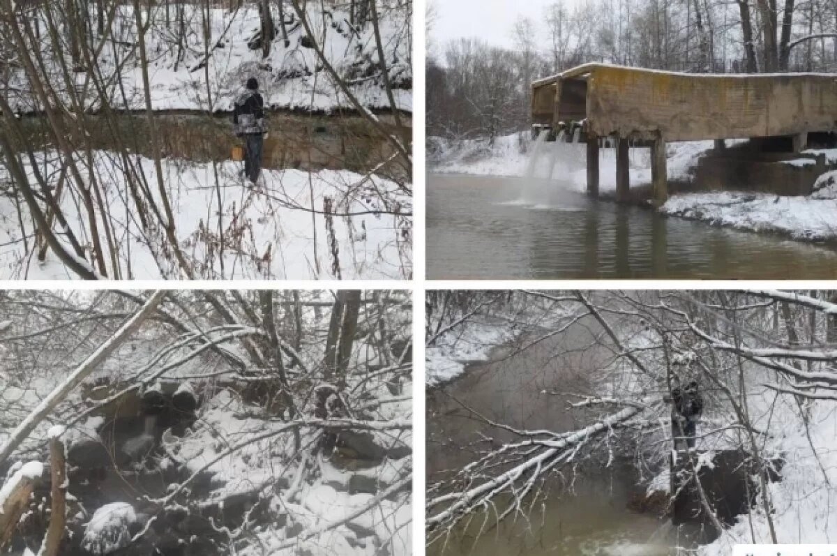    Материалы будут направлены в Управление Росприроднадзора