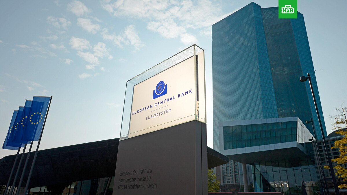    Фото: РИА Новости © 2024, Алексей Витвицкий