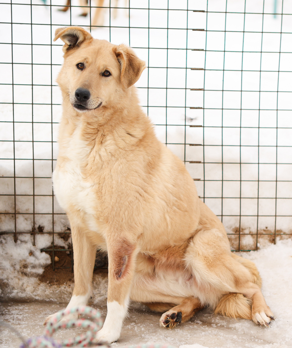 Я сдала экзамен!