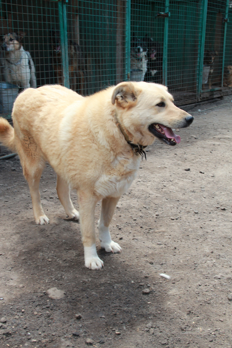 Вот такой трусихой я раньше была в ряду