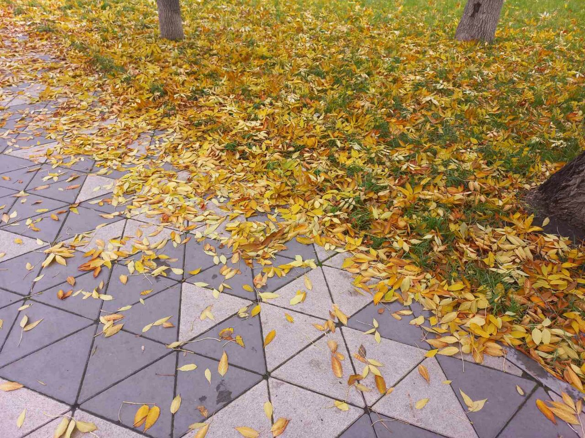 Фото автора.