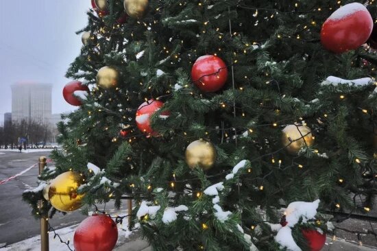    Фото: Олег Серебрянский