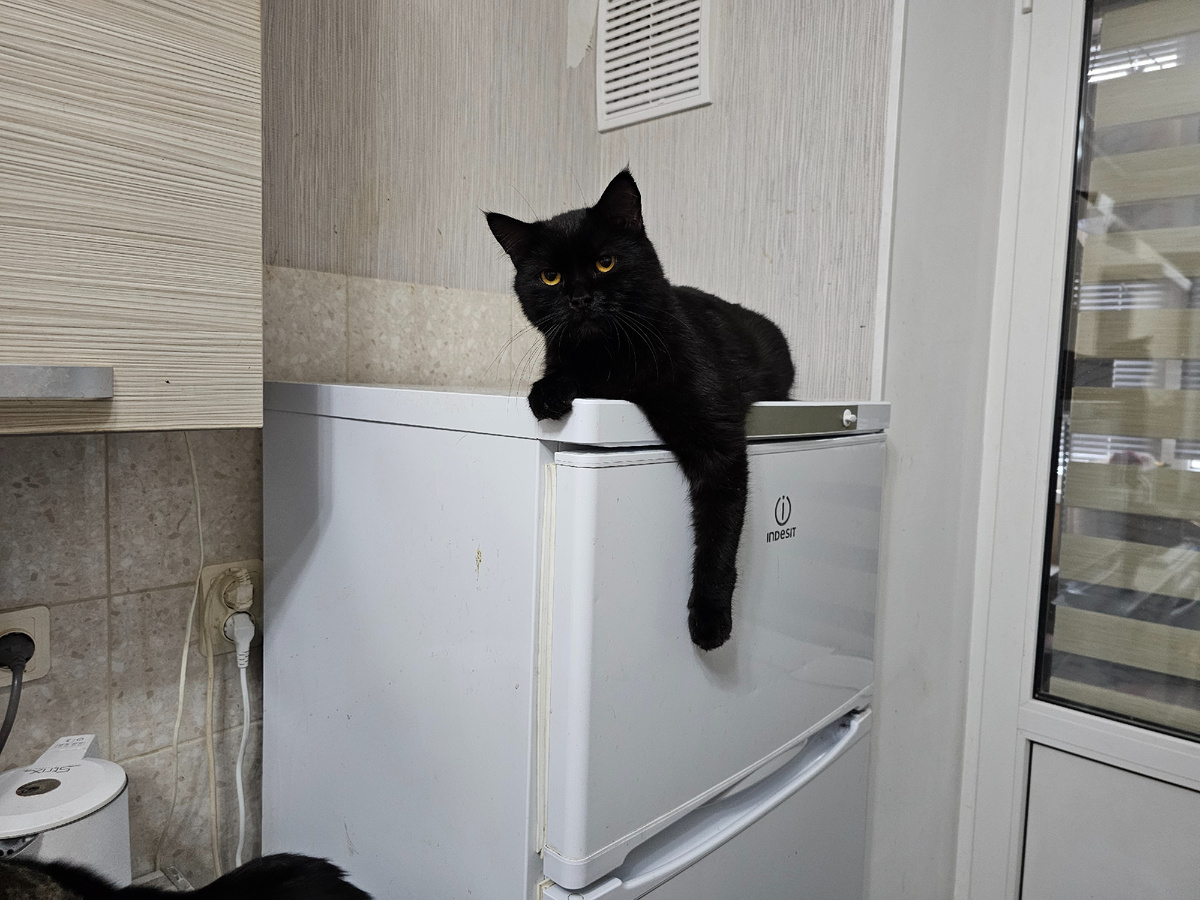 Фото автора. Силим.