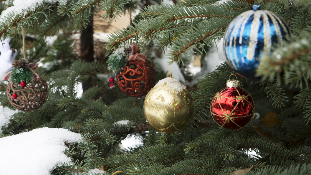    Nikolay Gyngazov/Globallookpress