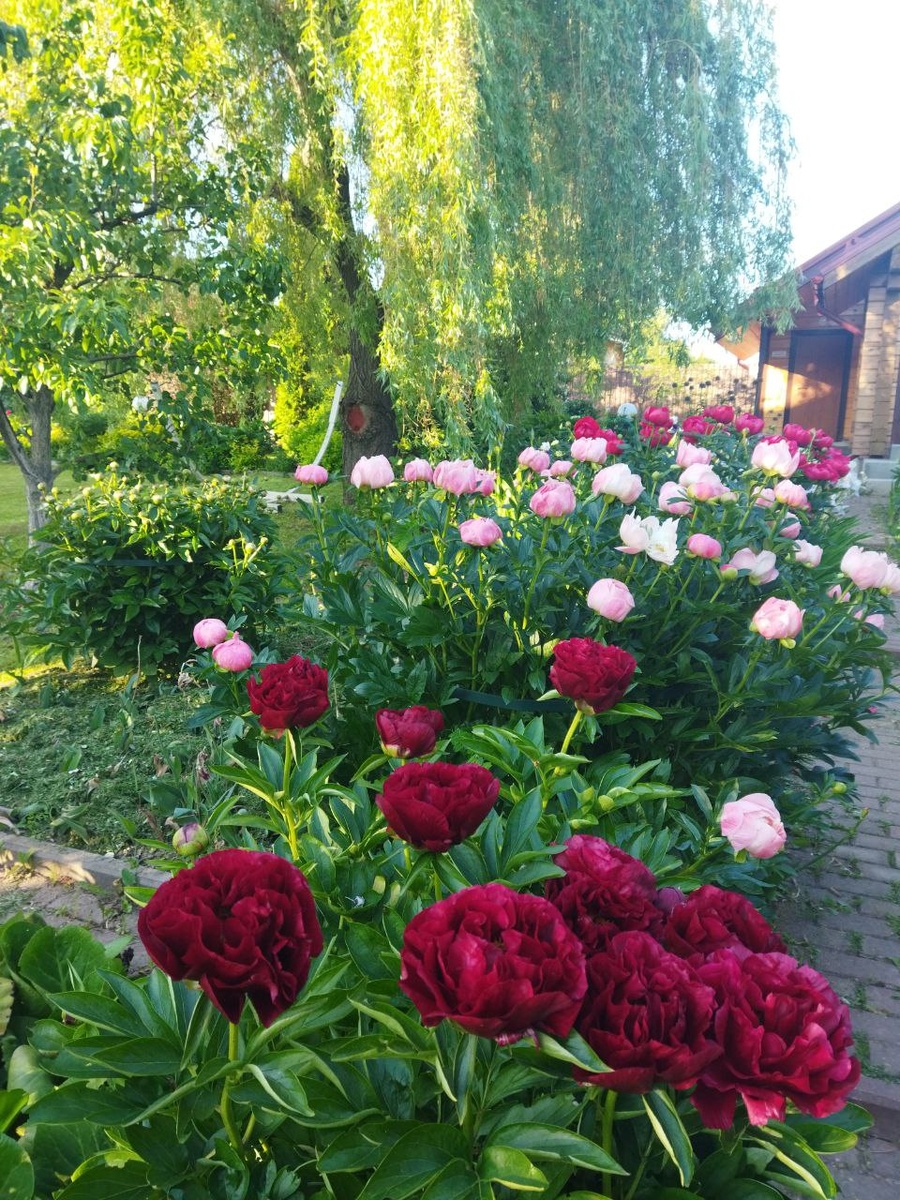 1. В галерее 8 фото, листайте