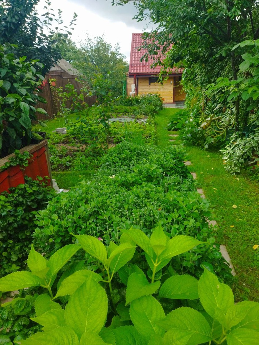 10. В галерее 18 фото, листайте