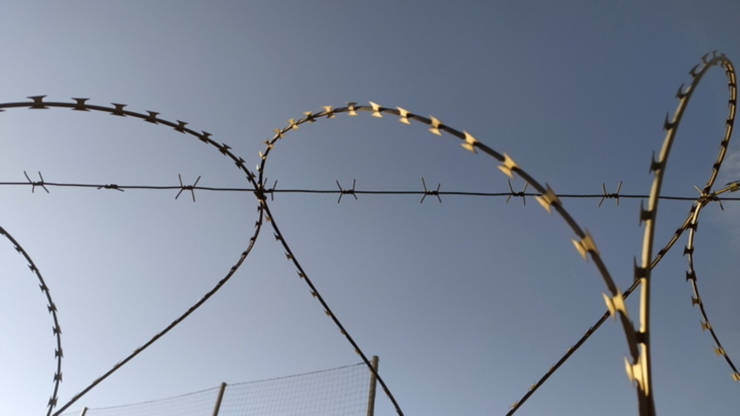    Фото: МАКСИМ КОНСТАНТИНОВ/GLOBALLOOKPRESS