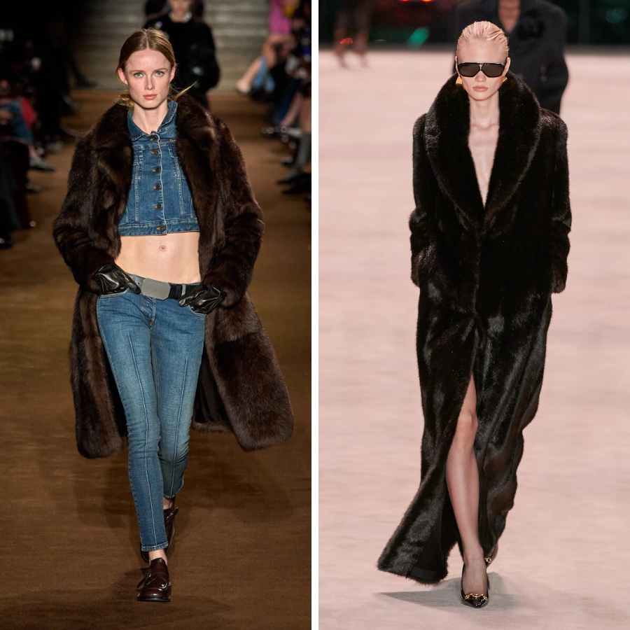 Miu Miu, Saint Laurent