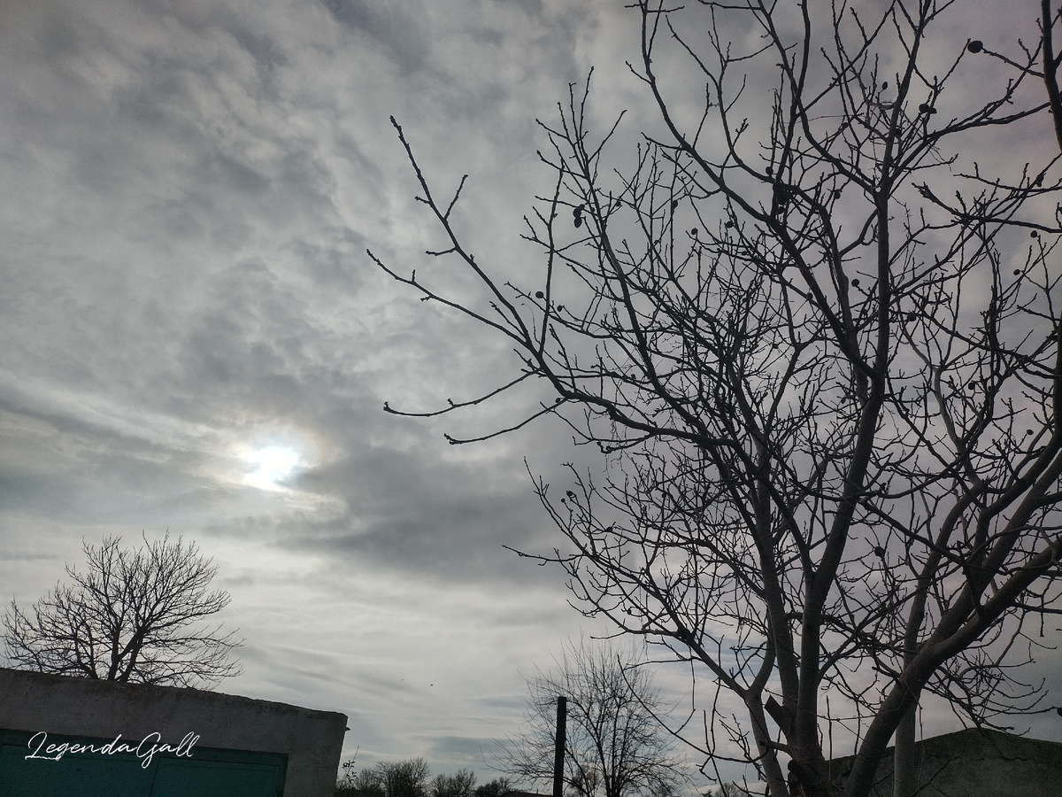 Солнце было, хоть и в дымке