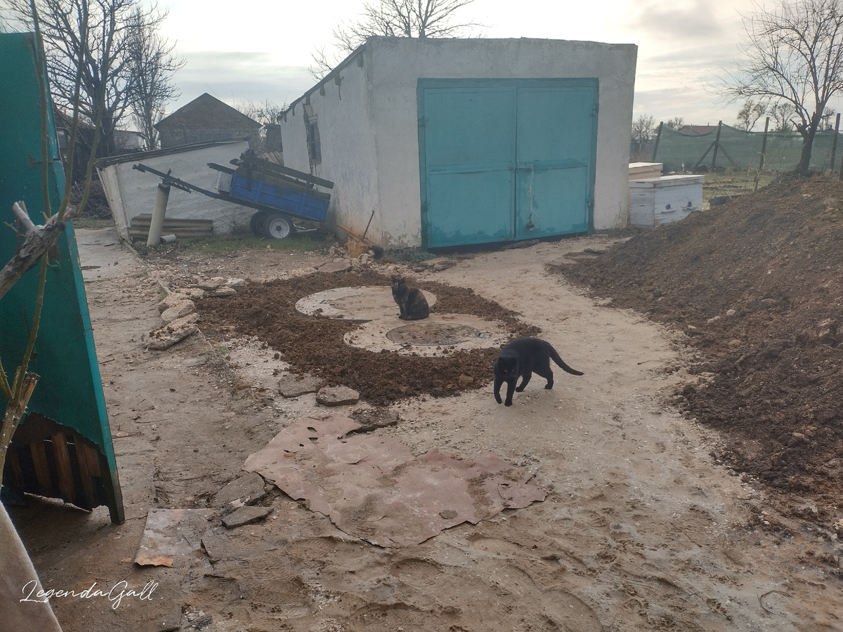 Год назад закончили закапывать кольца септика