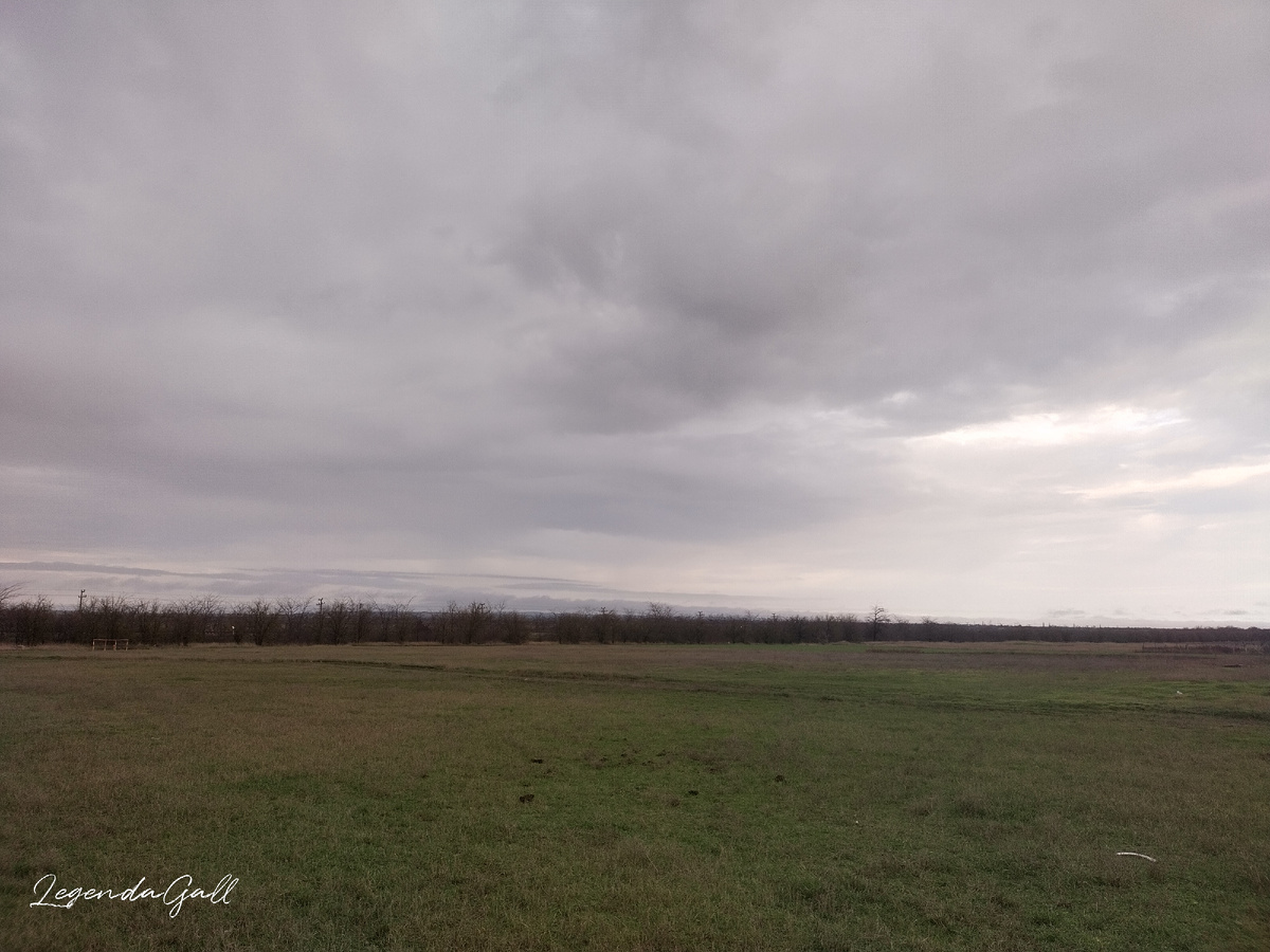 А я сходила в поля в поисках грибов