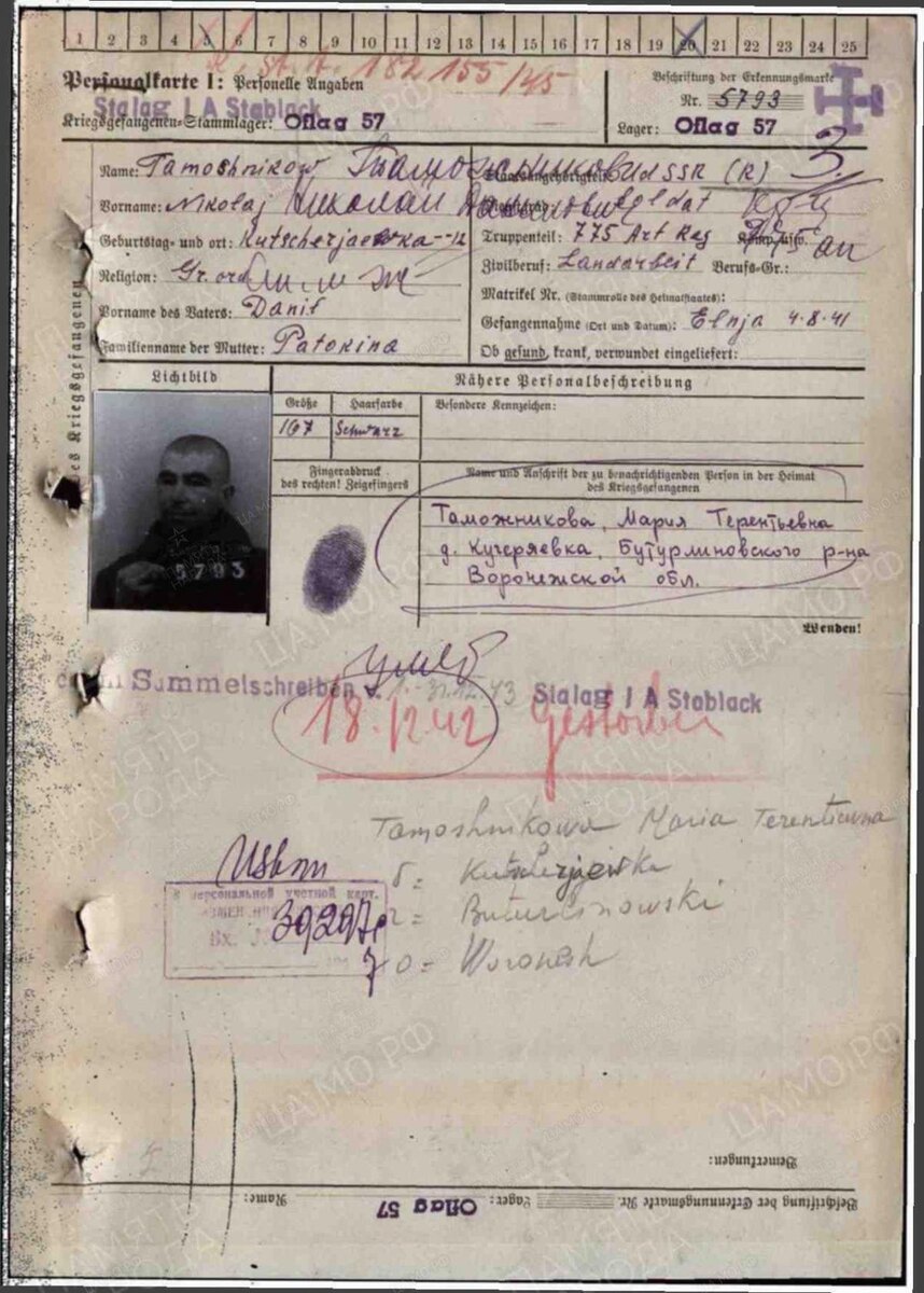 Фото из архива. Таможников Николай Данилович 