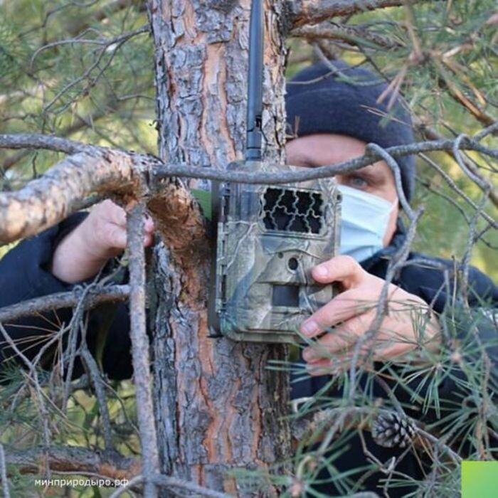 Источник фото: Министерство природных ресурсов