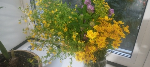 Летний букет. Фото автора, букет от детей.