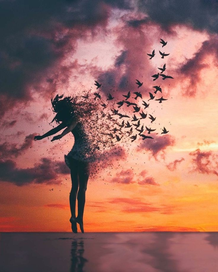 Изображение из свободных источников интернета