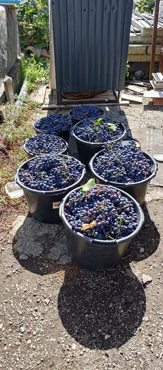 Ориентировочно 110-115 кг Молдовы.