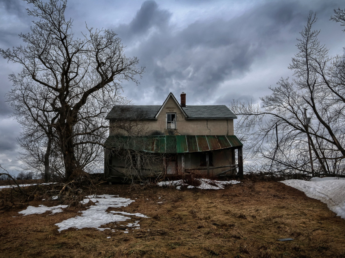 Изображение из открытых источников Яндекс