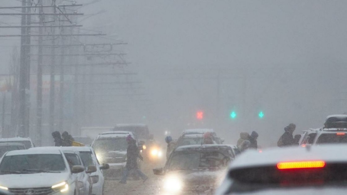 Фото https://63.ru.