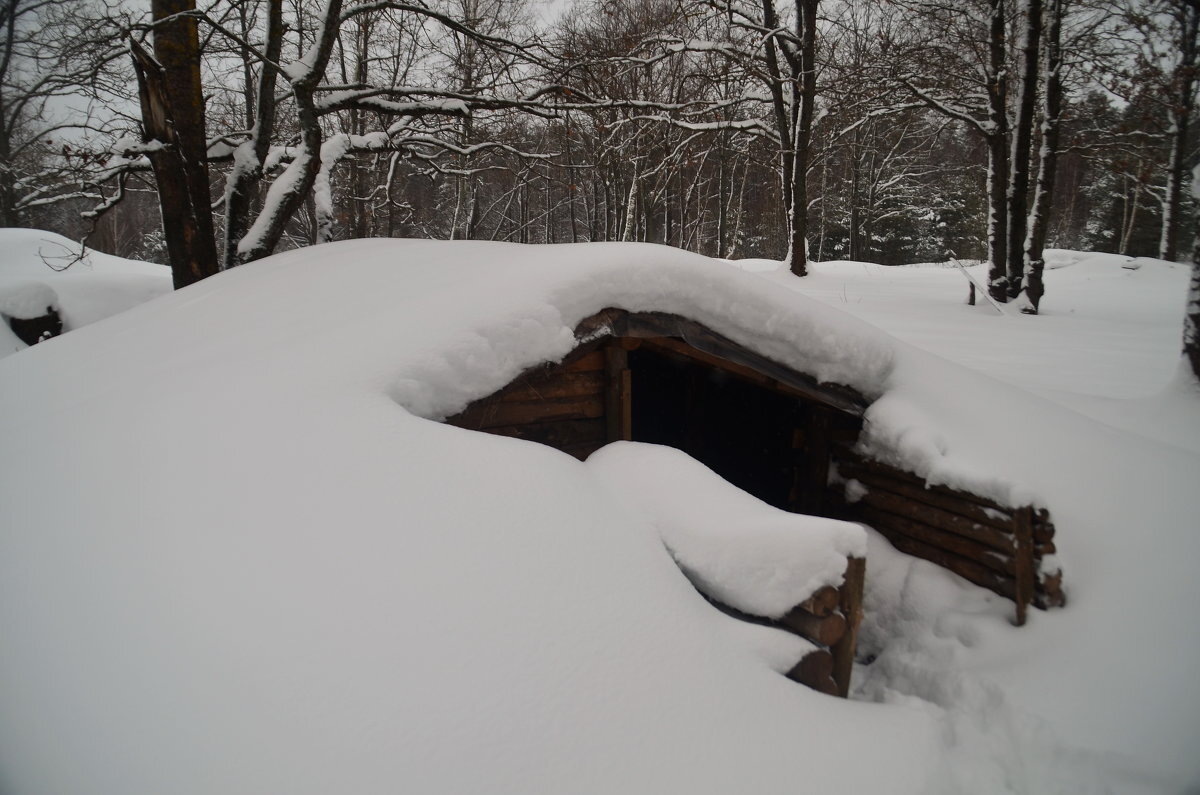 фото из интернета