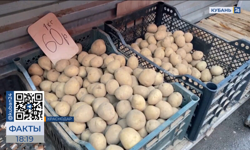    Видео канала «Кубань 24»