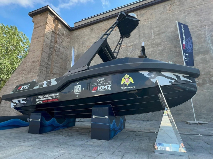     В Петербурге будут создавать морские дроны. Фото: kmz1.ru