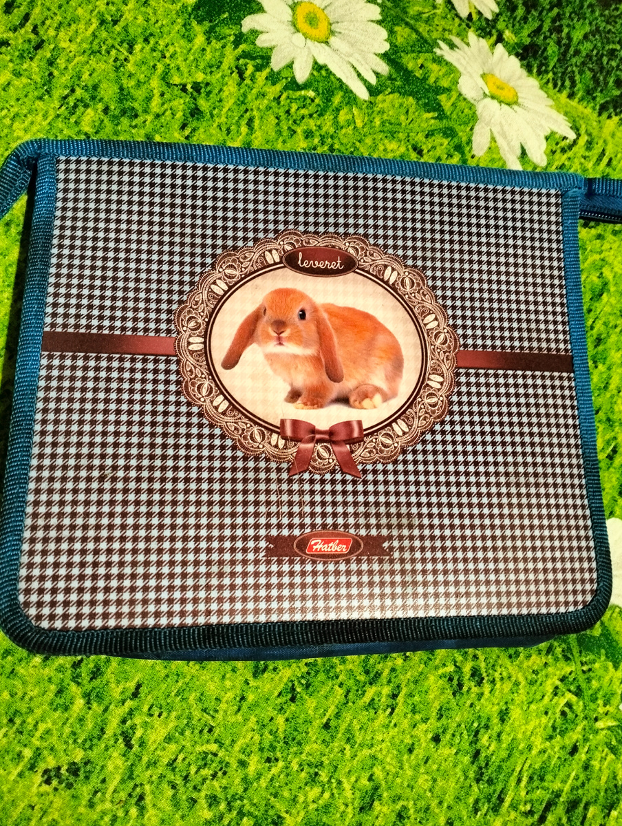 Папочка, в которой ношу квитанции платить.