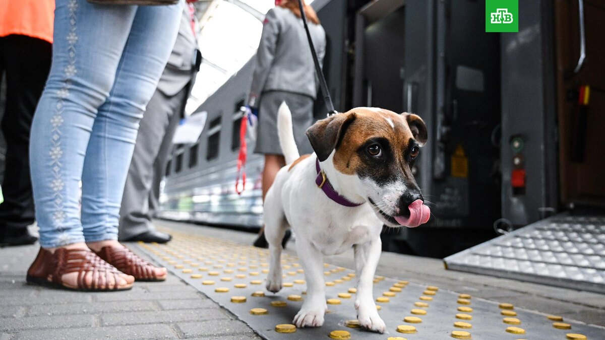    Фото: РИА Новости © 2024, Михаил Голенков