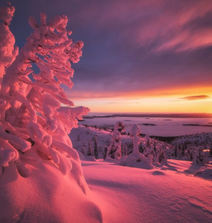 Фото: visitmurmansk.info