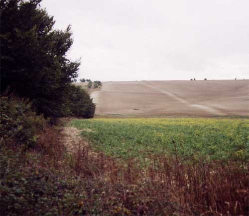 Дорсетский курсус - ширина 100 м, длина 10 км. Местами проступает в полях благодаря меловой подпочве.