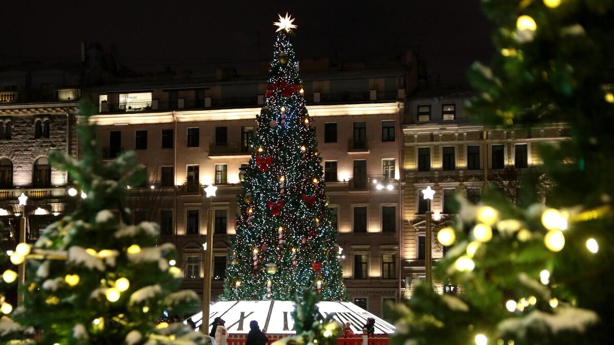 Фото: Maksim Konstantinov/globallookpress.com