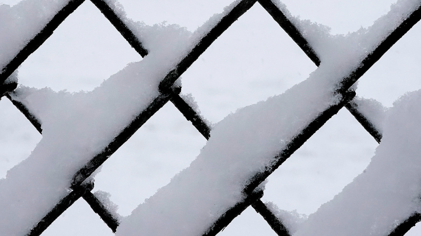    Фото: Charlie Riedel/ТАСС