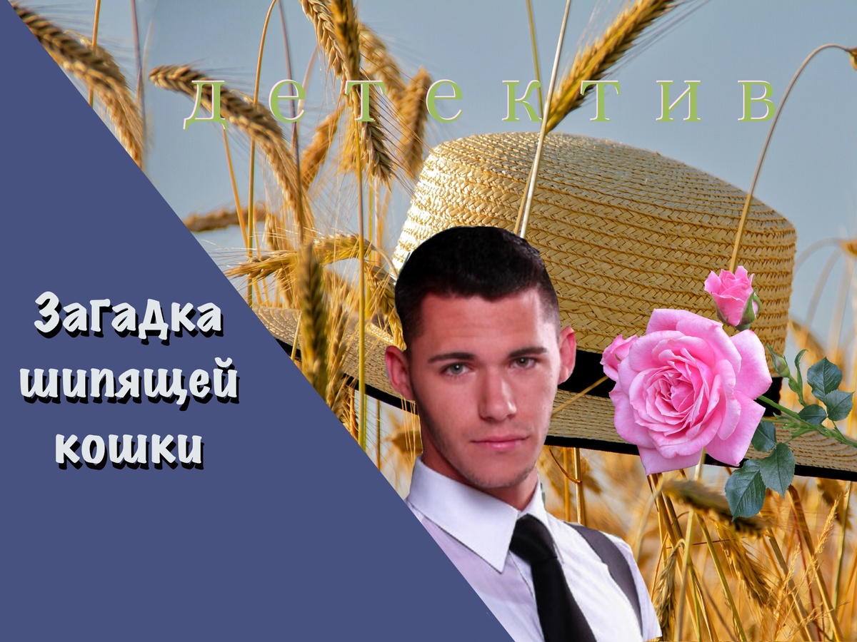 Девятый детектив из серии "Приключения писателя Антона Баулина"