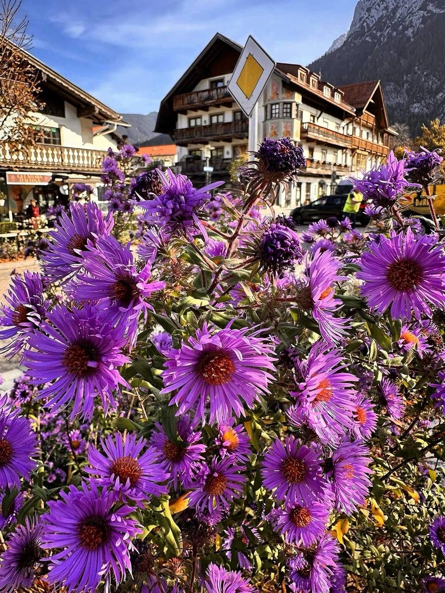 Фото от автора.28.10.2024.