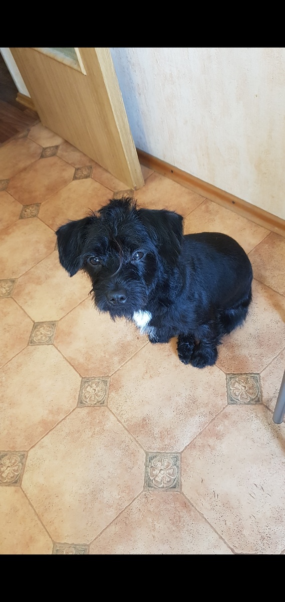 Тут уже подрос