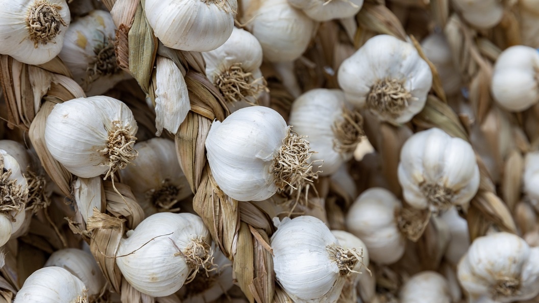    Aleksey Smyshlyaev/Global Look Press