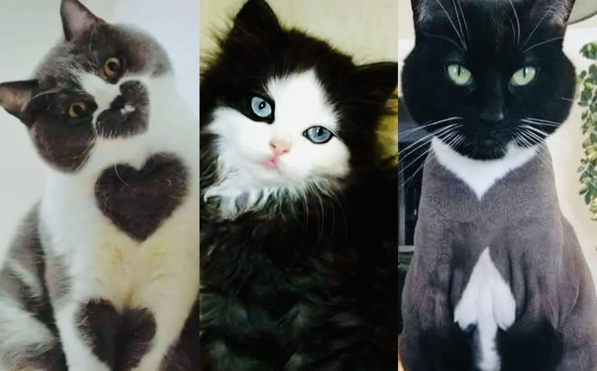 Как вам такой набор игральных карт?