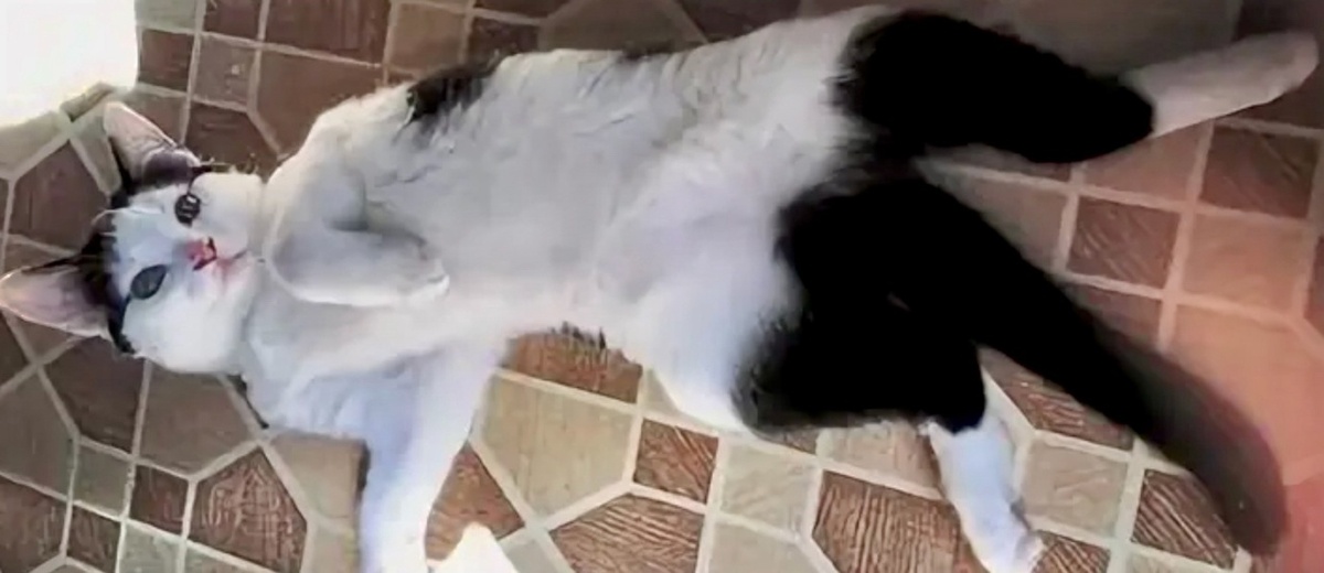 Да, на мне штанишки. Очень тепло и модненько! ->->->