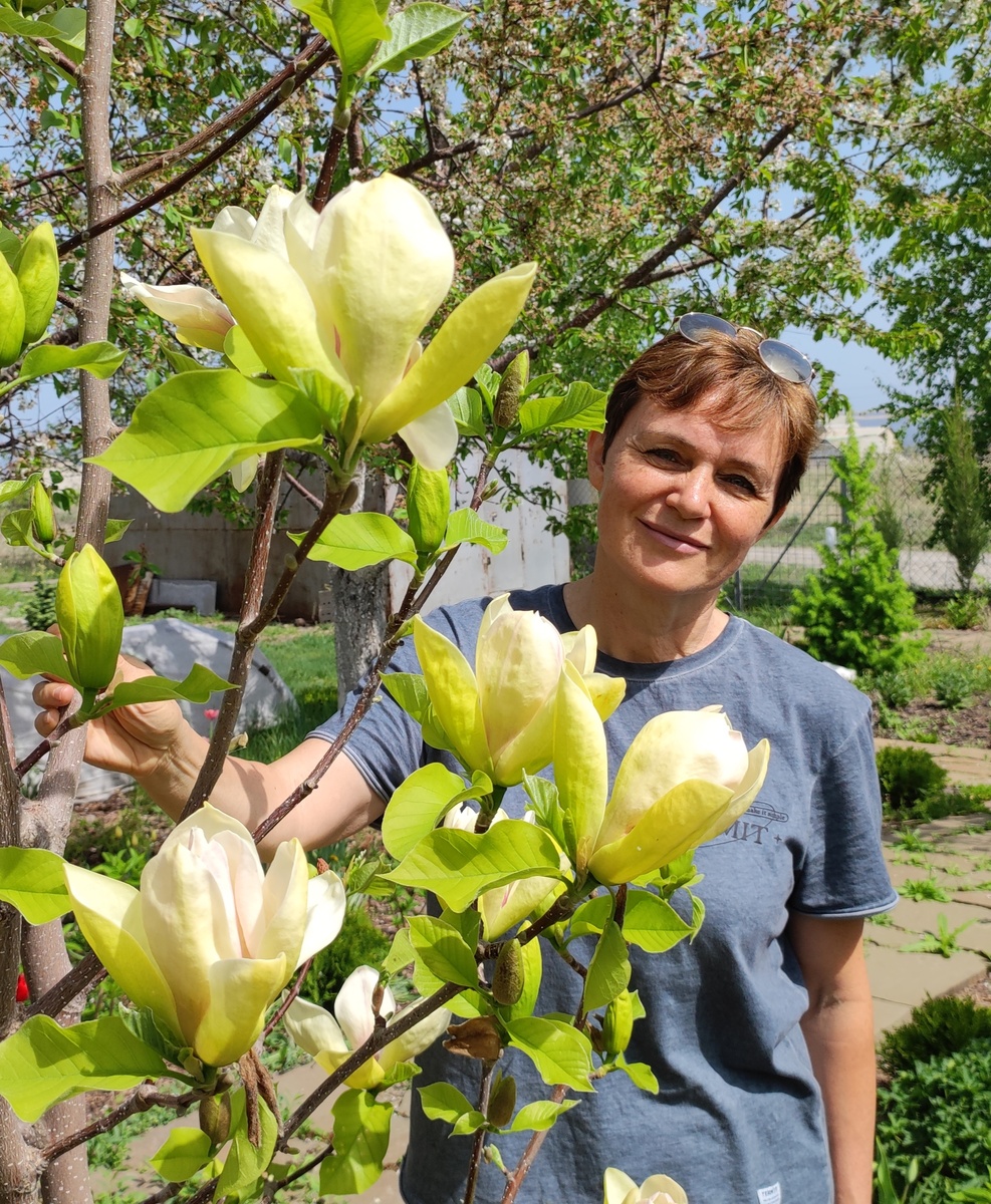 Я с магнолией