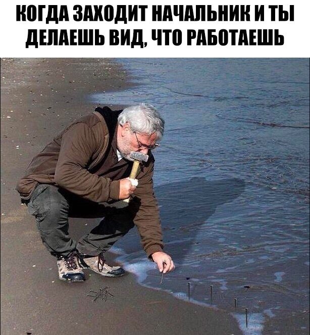 С выходом на работу после больничного картинки