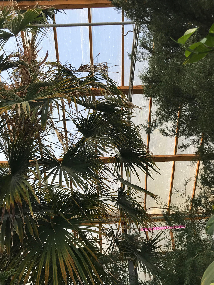 Вот такая красота в самом центре Екб