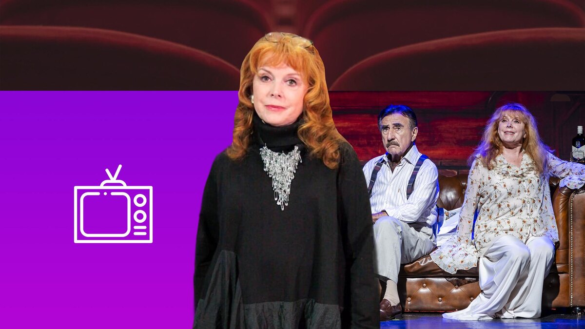 Коллаж 78.ru: vk.com/Клара Новикова, wikimedia.org/DedaSasha; CC BY-SA 4.0, pxhere.com, flaticon.com/Freepik