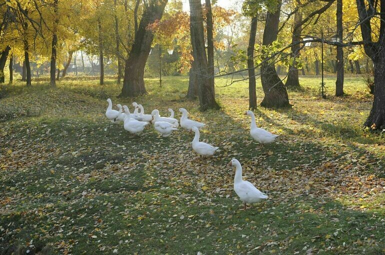   Юрий Инякин/ПГ
