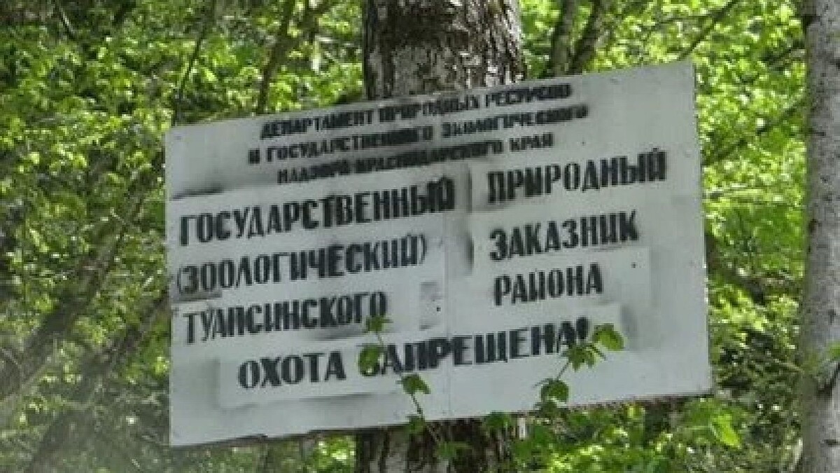    Фото: t.me/mpr_kk