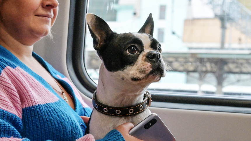    Фото: © РИА Новости/Евгений Биятов