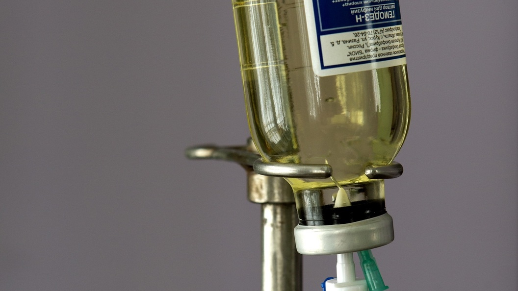    Николай Гынгазов/Global Look Press